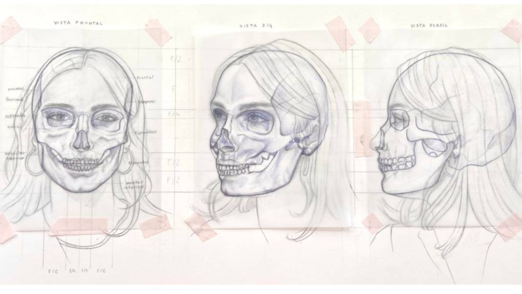 La imagen muestra un conjunto de dibujos que representan diferentes vistas de un cráneo humano junto a siluetas de una cabeza humana.