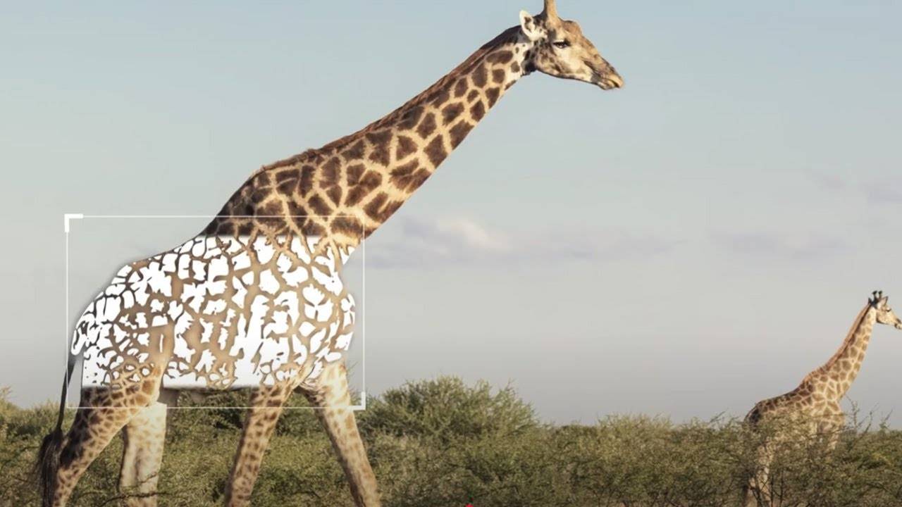 Una jirafa camina por un paisaje natural.