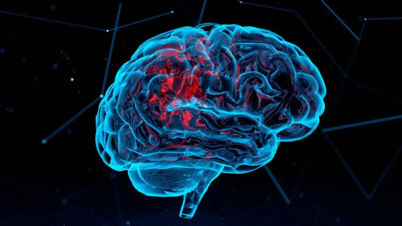 Imagen digital de un cerebro humano en color azul con áreas rojas destacadas.