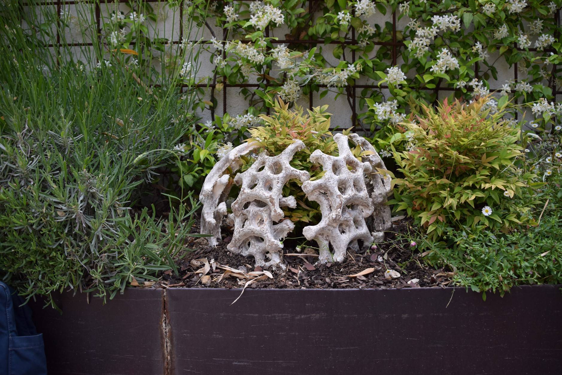 Un objeto decorativo en forma de coral rodeado de plantas en un jardín.