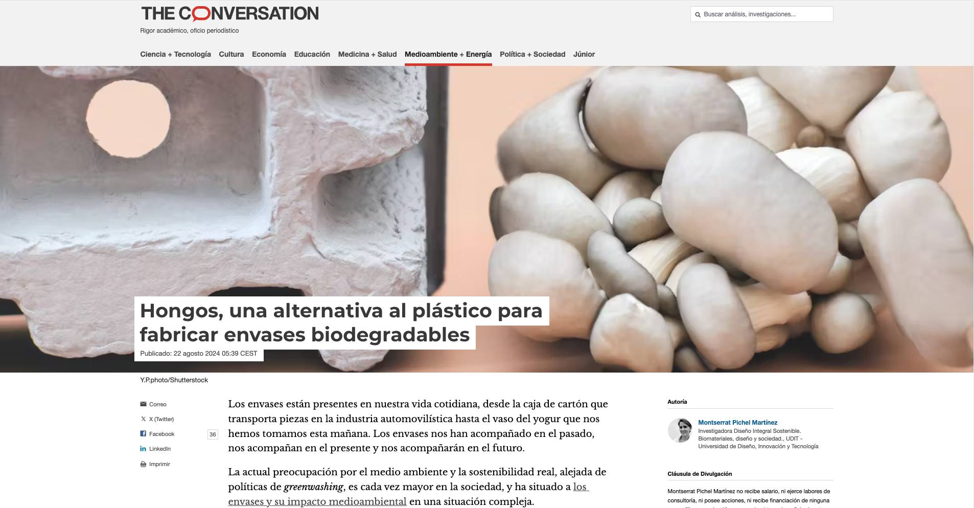 Artículo que habla sobre los hongos como alternativa al plástico en envases biodegradables.