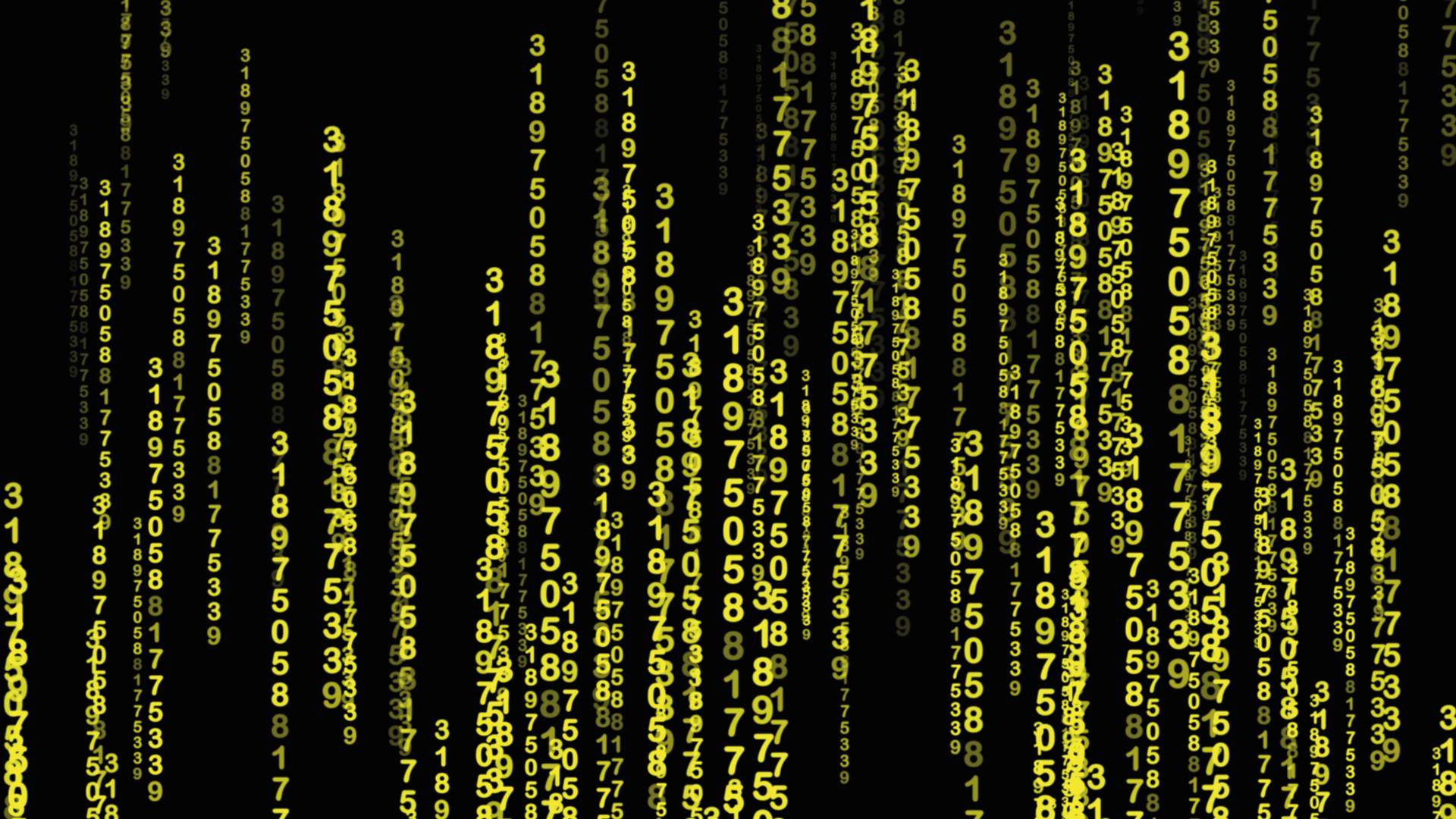 Hack Royale I: dos días de competición y ciberseguridad en UDIT