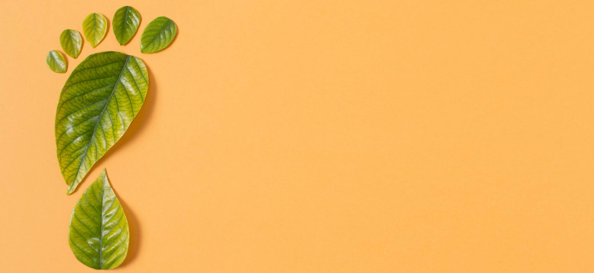Una huella formada por hojas verdes sobre un fondo naranja.