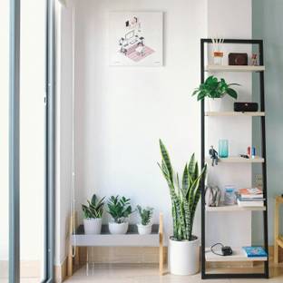 Una esquina moderna de una habitación con estantería, plantas y una obra de arte en la pared.