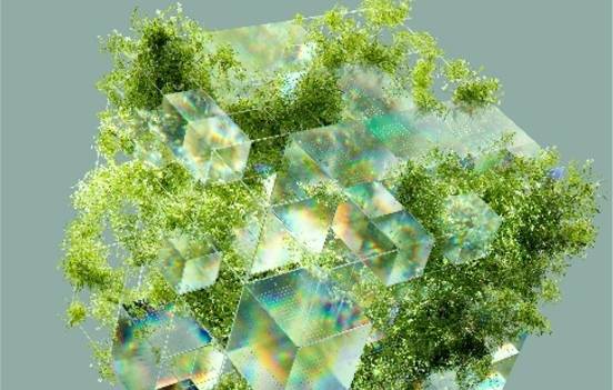 Una composición abstracta que combina formas cúbicas transparentes con vegetación verde.