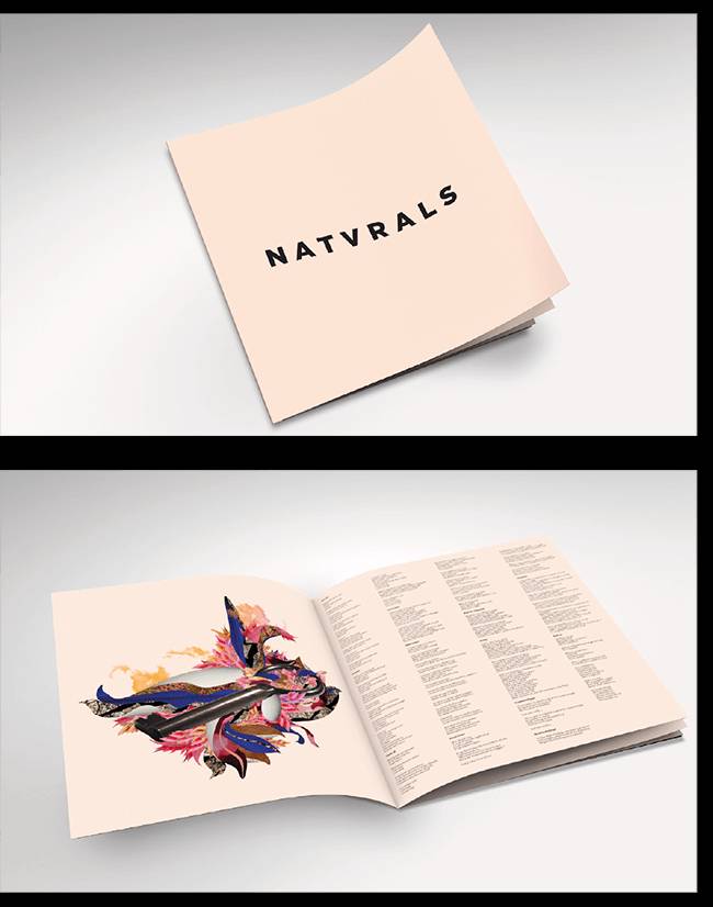 Un libro de diseño con una portada de color claro y un contenido artístico en su interior.