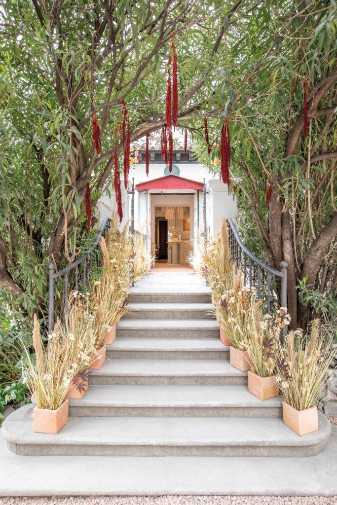 Una entrada decorativa con escaleras, rodeada de plantas y decoraciones naturales.