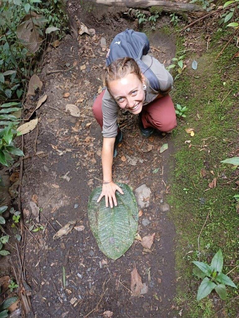 Una persona sonriente se agacha para tocar una gran hoja en un sendero natural.