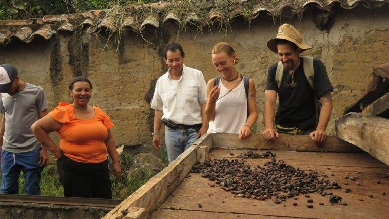 Un grupo de personas observa un proceso relacionado con la producción de cacao.