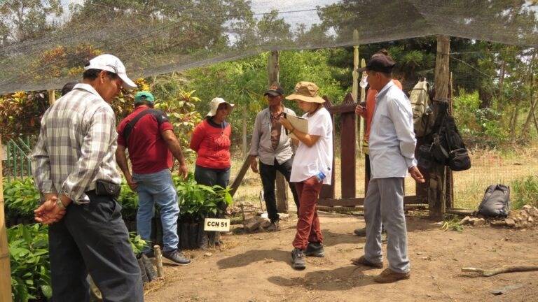 Un grupo de personas se reúne en un área al aire libre, posiblemente para una actividad agrícola o de capacitación.