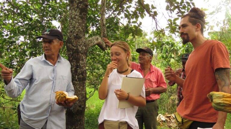 Un grupo de personas en un bosque discutiendo sobre la recolección de cacao.
