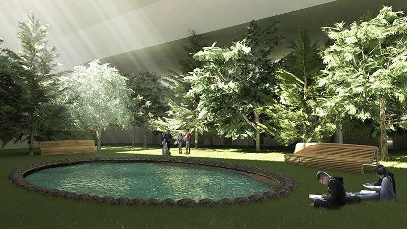 Un espacio verde iluminado con árboles, bancos y un estanque en el centro donde personas disfrutan del entorno.