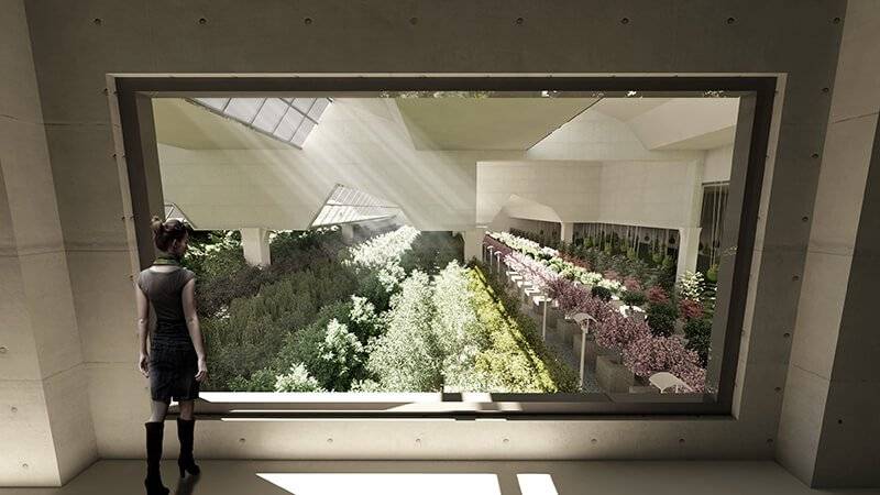 Una persona observa un paisaje verde a través de una gran ventana arquitectónica.
