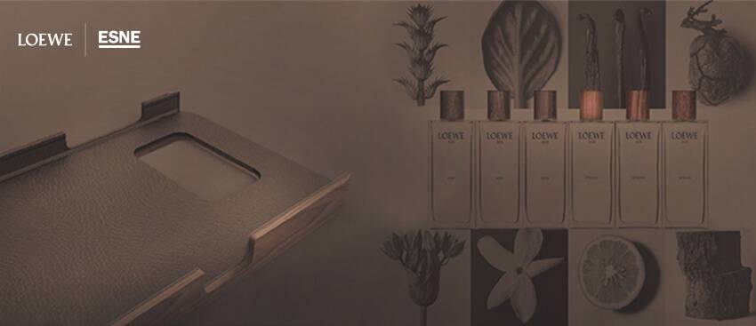 La imagen muestra una composición estética con productos de la marca Loewe y elementos naturales.